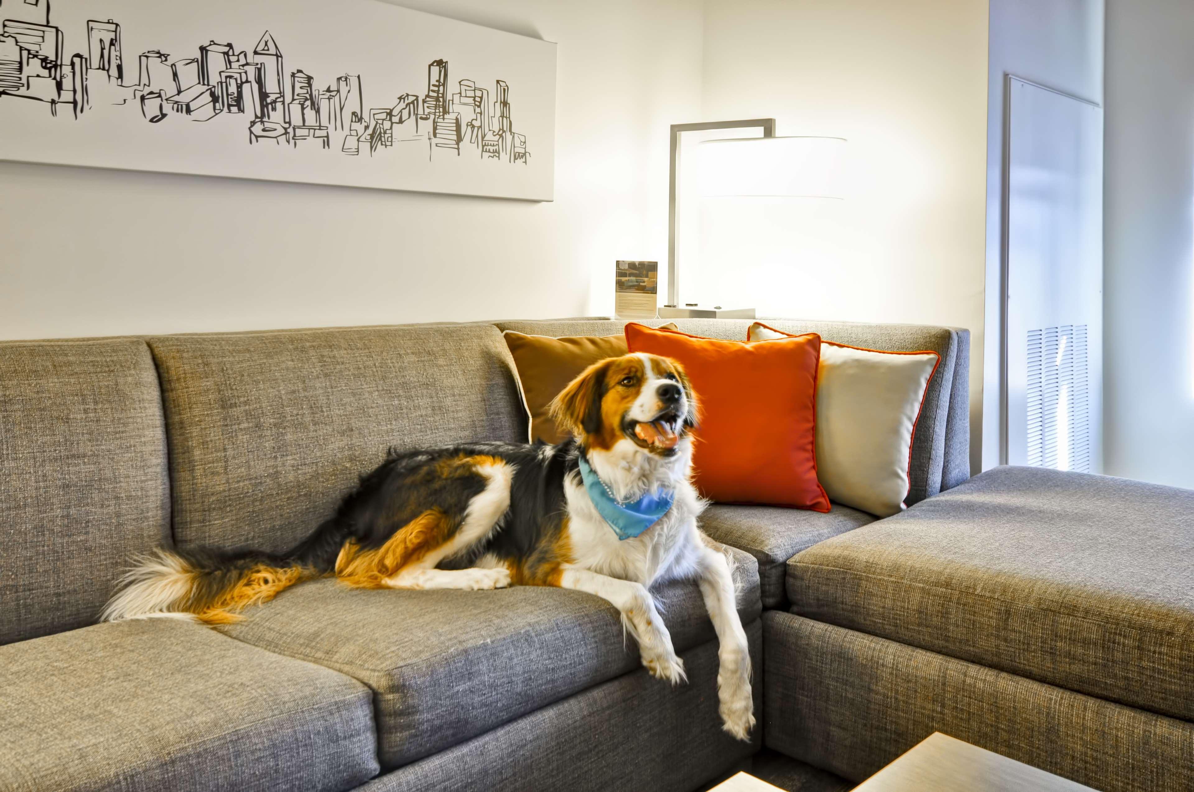 Hyatt House Atlanta Cobb Galleria Smyrna Kültér fotó