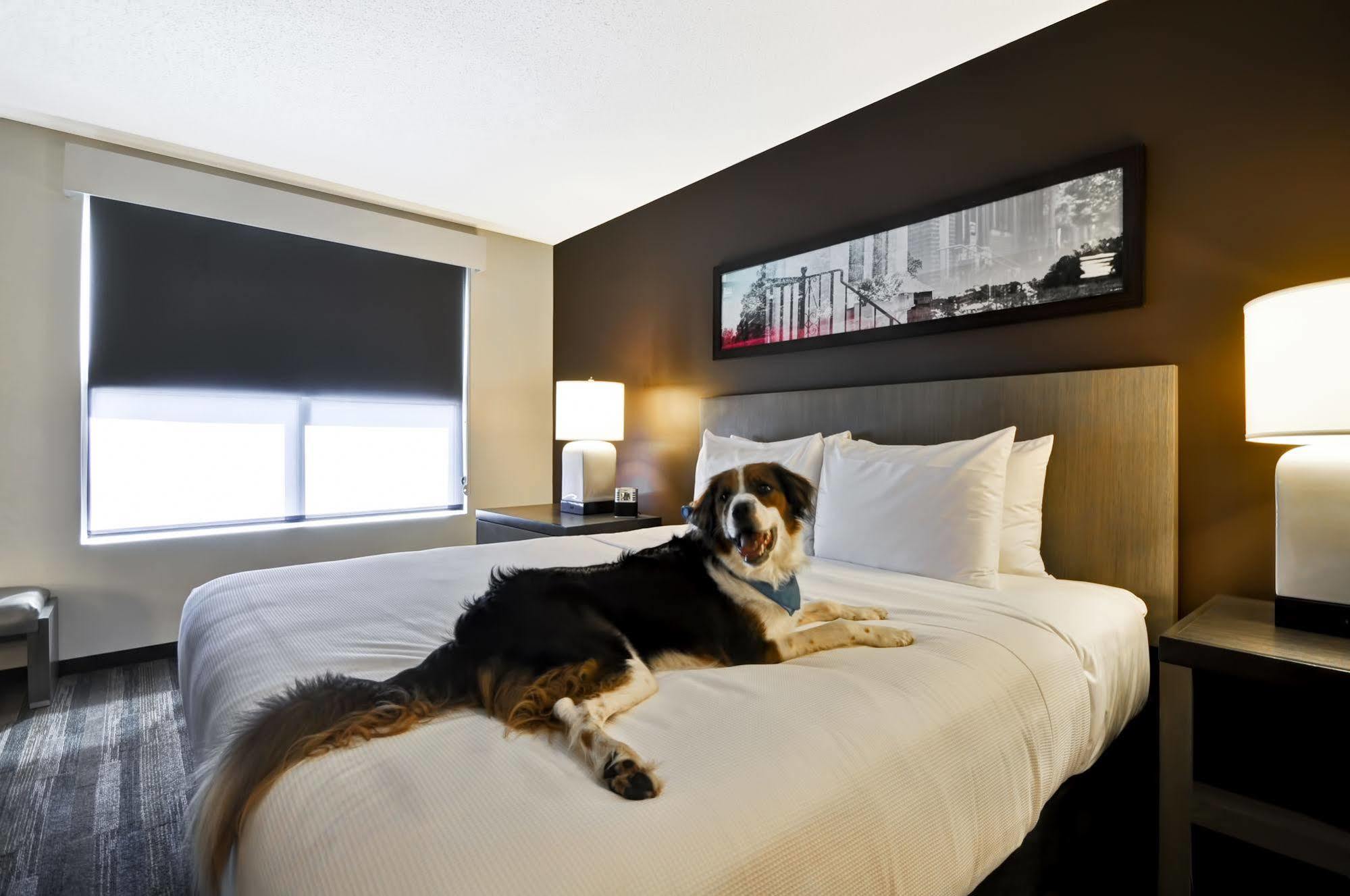 Hyatt House Atlanta Cobb Galleria Smyrna Kültér fotó